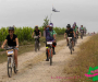 pat_5962-copie