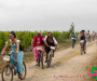 pat_5964-copie
