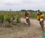 pat_5965-copie