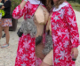 pat_5986-copie