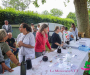 bbr_2837-copie