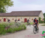 bbr_2883-copie
