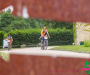 bbr_2913-copie