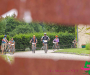 bbr_2916-copie