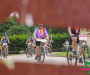 bbr_2920-copie