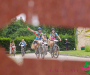 bbr_2922-copie