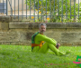 p1060472-copie
