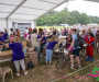 mla_5043-copie