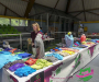 p1090111-copie