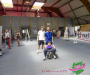 p1090154-copie