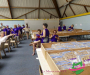 p1090167-copie