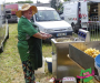 p1090229-copie